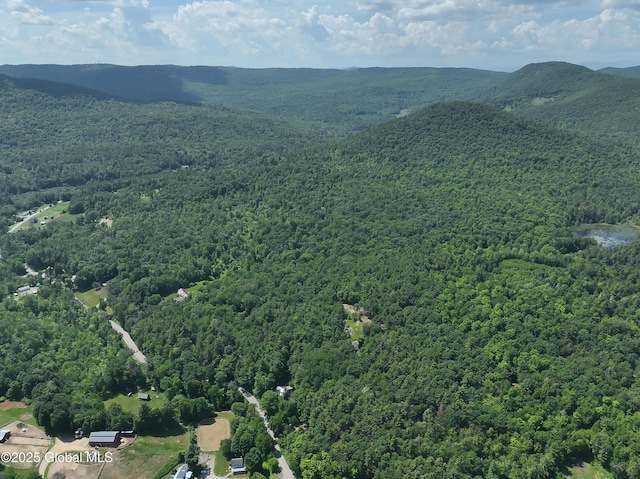 981 New Hague Rd, Hague, NY 12836