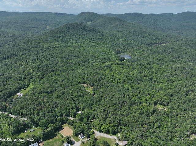 981 New Hague Rd, Hague, NY 12836