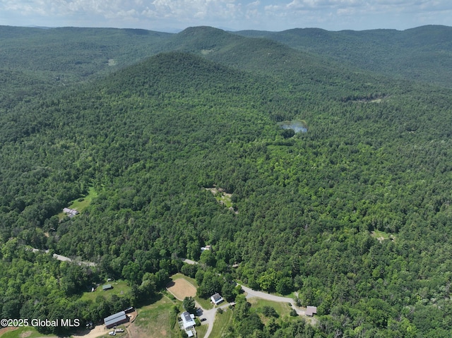 981 New Hague Rd, Hague, NY 12836