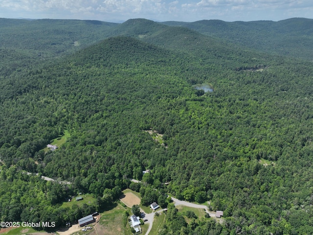 981 New Hague Rd, Hague, NY 12836