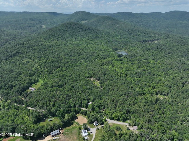 981 New Hague Rd, Hague, NY 12836