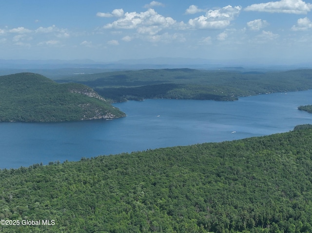 981 New Hague Rd, Hague, NY 12836