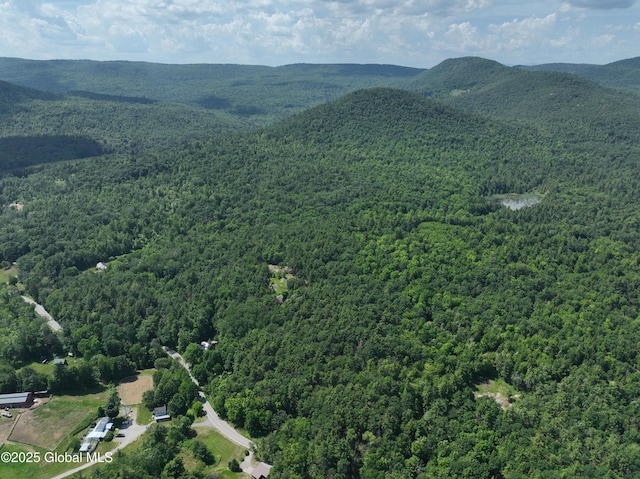 981 New Hague Rd, Hague, NY 12836