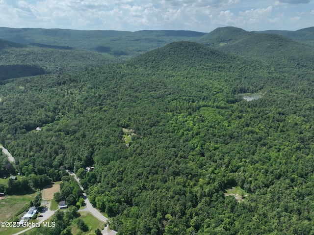 981 New Hague Rd, Hague, NY 12836
