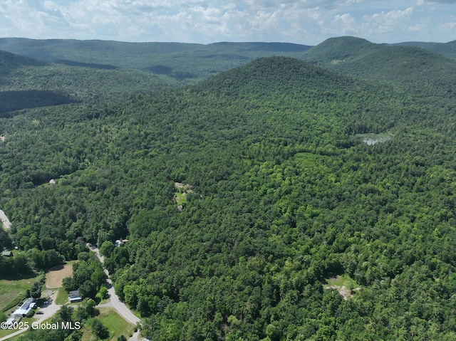 981 New Hague Rd, Hague, NY 12836