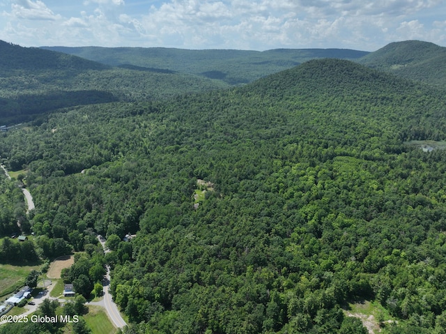 981 New Hague Rd, Hague, NY 12836