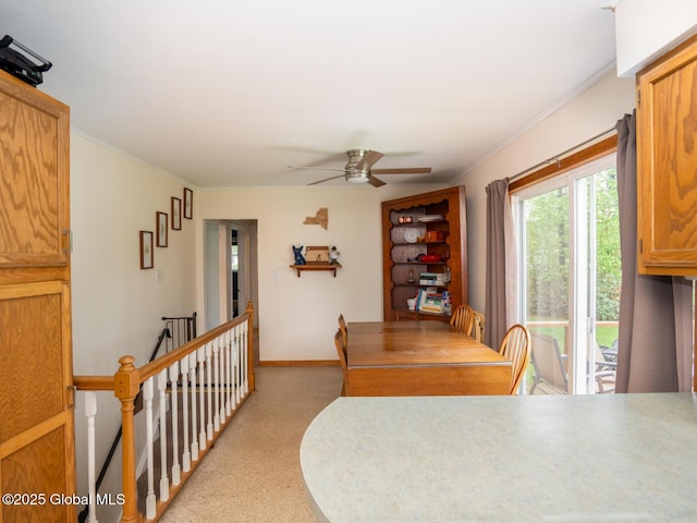 3 E St Stephens Ln, Glenville, NY 12302 - dining space featuring a ceiling fan, light colored carpet, ornamental molding, and baseboards
