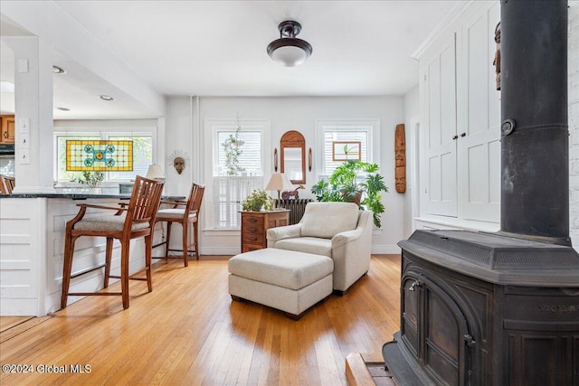 19 George St, Saratoga Springs, Inside, NY 12866 - sitting room featuring a wood stove and light wood-type flooring