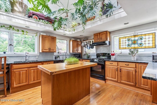 19 George St, Saratoga Springs, Inside, NY 12866 - kitchen with black appliances, a sink, under cabinet range hood, butcher block countertops, and tasteful backsplash