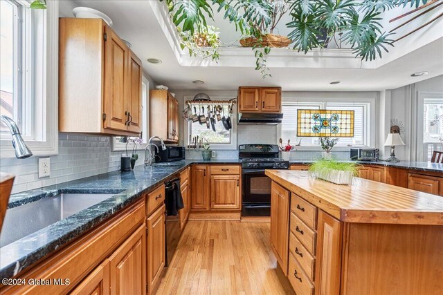 19 George St, Saratoga Springs, Inside, NY 12866 - kitchen featuring black appliances, a sink, under cabinet range hood, light wood finished floors, and backsplash