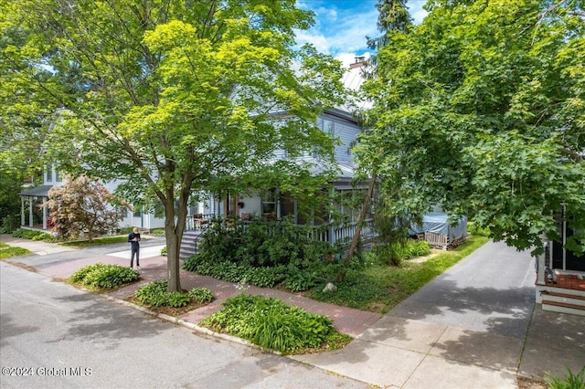 19 George St, Saratoga Springs, Inside, NY 12866 - view of property hidden behind natural elements