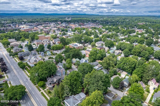 19 George St, Saratoga Springs, Inside, NY 12866 - aerial view of residential area