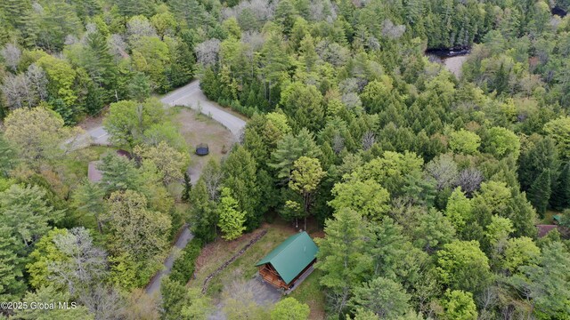 13 Dewey Rd, Chester, NY 12860 - aerial overview of property's location with a heavily wooded area