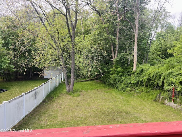 29 Clark St, Hudson Falls, NY 12839 - view of yard