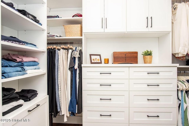 20 Bridgewater Ct, Clifton Park, NY 12065 - view of spacious closet