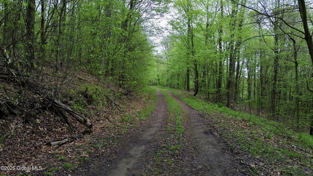 L28.6 Studer Rd, Wellsville, NY 14895 - photo 10