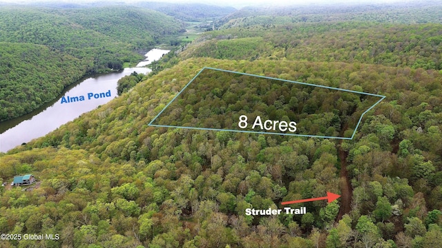 L28.6 Studer Rd, Wellsville, NY 14895 - photo 2