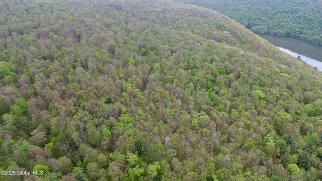 L28.6 Studer Rd, Wellsville, NY 14895 - photo 4