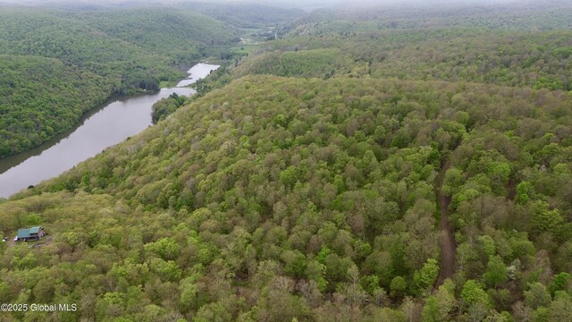 L28.6 Studer Rd, Wellsville, NY 14895 - photo 6