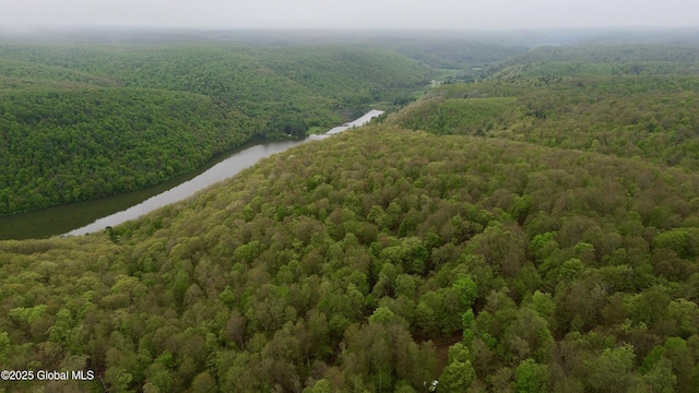 L28.6 Studer Rd, Wellsville, NY 14895 - photo 7