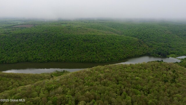 L28.6 Studer Rd, Wellsville, NY 14895 - photo 8