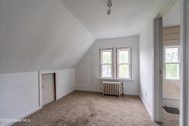 8 Rosewood Ave, Johnstown, NY 12095 - additional living space with radiator, carpet floors, vaulted ceiling, and baseboards