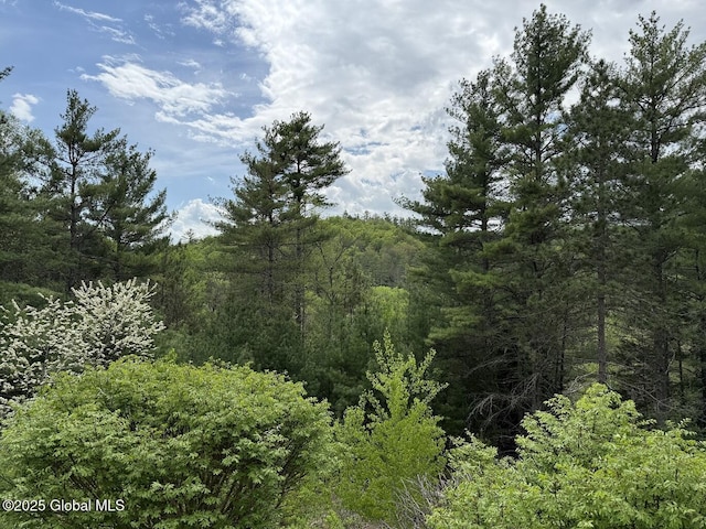 2148 US Route 9, Schroon Lake, NY 12870 - view of tree filled area