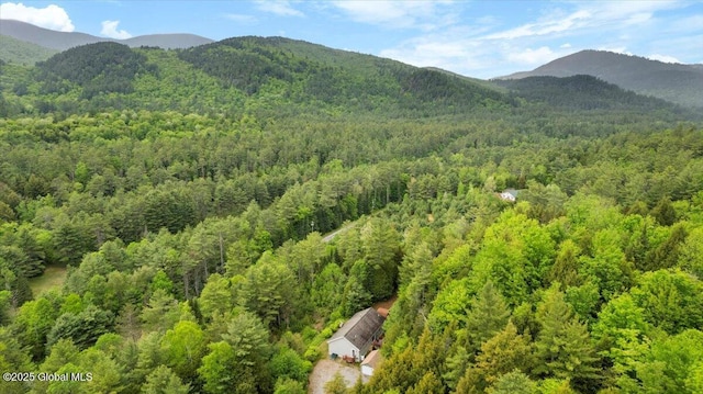 2148 US Route 9, Schroon Lake, NY 12870 - mountain view featuring a heavily wooded area