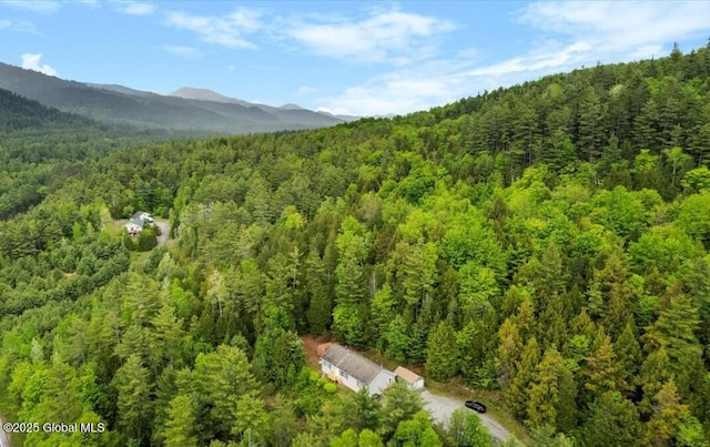 2148 US Route 9, Schroon Lake, NY 12870 - view of property location with a forest and mountains