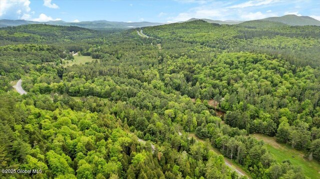 2148 US Route 9, Schroon Lake, NY 12870 - view of mountain background with a heavily wooded area