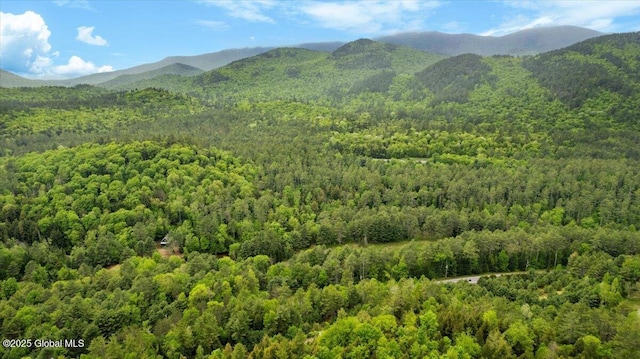2148 US Route 9, Schroon Lake, NY 12870 - view of mountain backdrop featuring a heavily wooded area