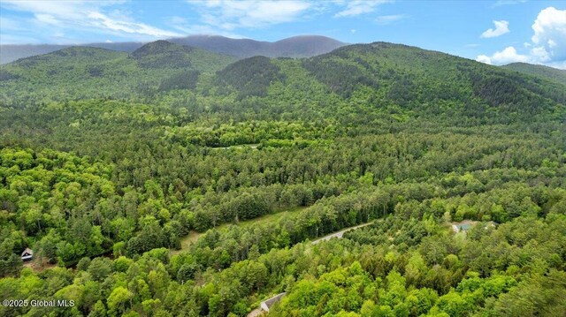 2148 US Route 9, Schroon Lake, NY 12870 - mountain view featuring a heavily wooded area