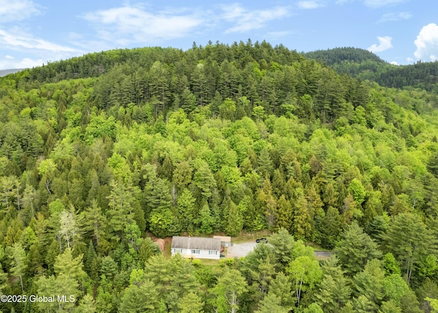 2148 US Route 9, Schroon Lake, NY 12870 - view from above of property with a forest