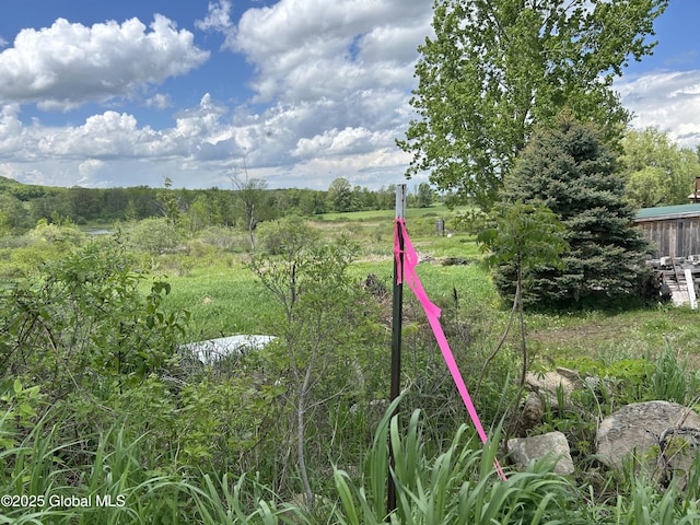 103 Franklin Bellinger Rd, Seward, NY 13459