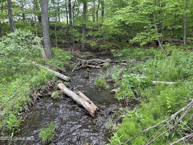 103 Franklin Bellinger Rd, Seward, NY 13459