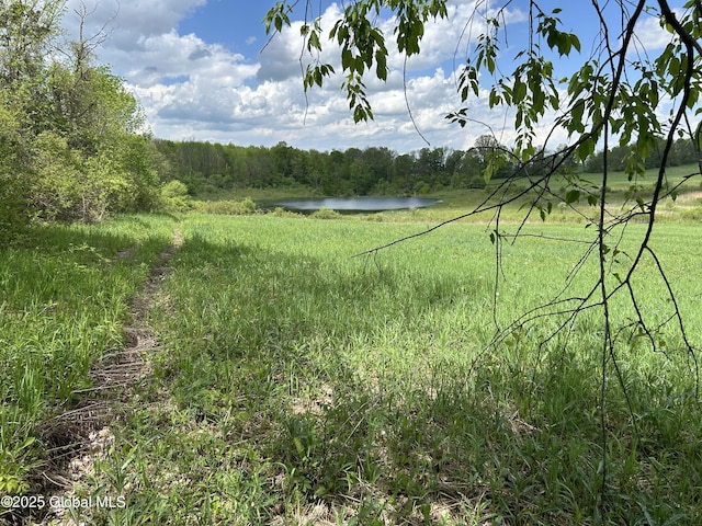 103 Franklin Bellinger Rd, Seward, NY 13459