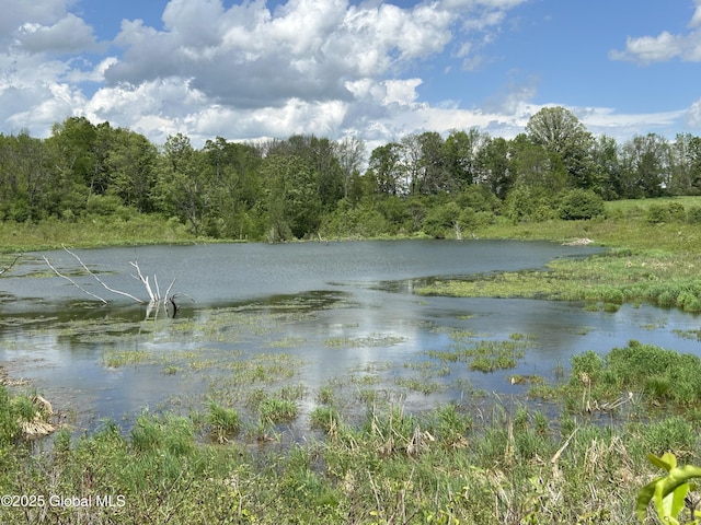103 Franklin Bellinger Rd, Seward, NY 13459