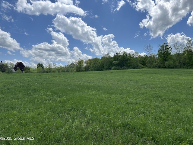 103 Franklin Bellinger Rd, Seward, NY 13459