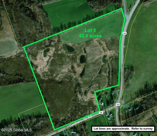 103 Franklin Bellinger Rd, Seward, NY 13459