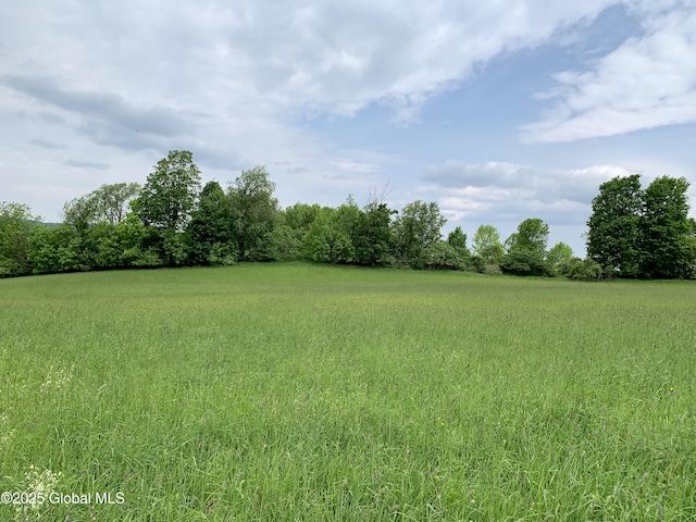 103 Franklin Bellinger Rd, Seward, NY 13459