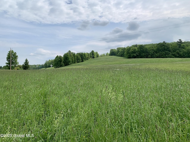 103 Franklin Bellinger Rd, Seward, NY 13459
