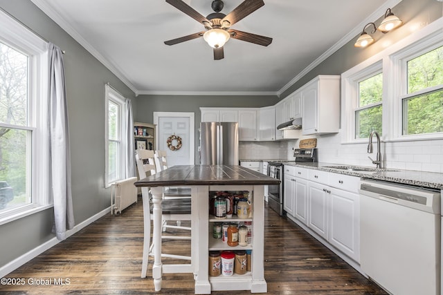 1409 Indian Fields Rd, Bethlehem, NY 12067 - kitchen with stainless steel appliances, a sink, radiator, white cabinetry, and crown molding