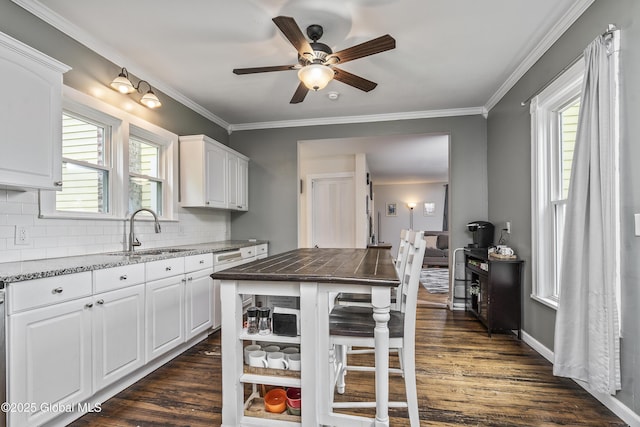 1409 Indian Fields Rd, Bethlehem, NY 12067 - kitchen featuring a sink, white cabinets, decorative backsplash, ceiling fan, and crown molding