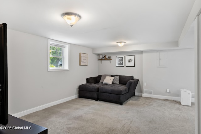 7 Hathorn Blvd, Saratoga Springs, NY 12866 - living room with electric panel and carpet flooring