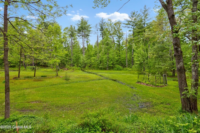 401 Wilton Gansevoort Rd, Wilton, NY 12831 - view of green lawn