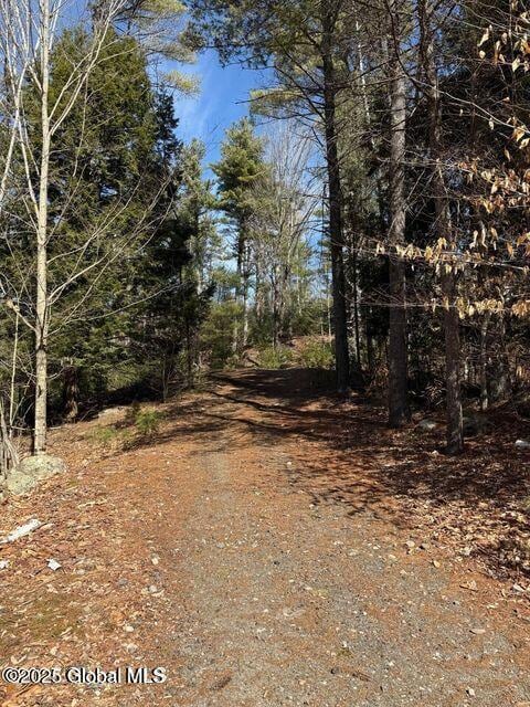 61 Snowshoe Rdg, Warrensburg, NY 12885 - photo 2