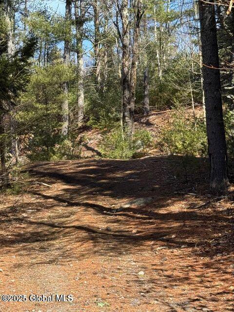 61 Snowshoe Rdg, Warrensburg, NY 12885 - photo 3