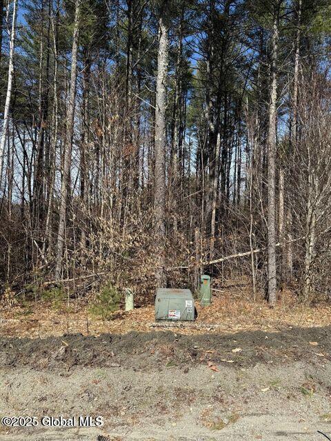 61 Snowshoe Rdg, Warrensburg, NY 12885 - photo 4