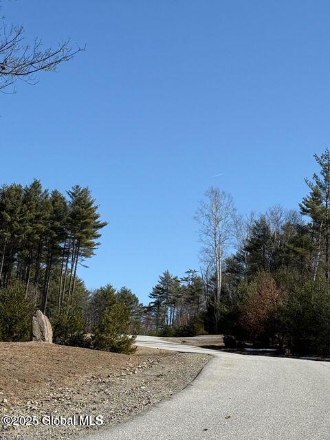 61 Snowshoe Rdg, Warrensburg, NY 12885 - photo 5