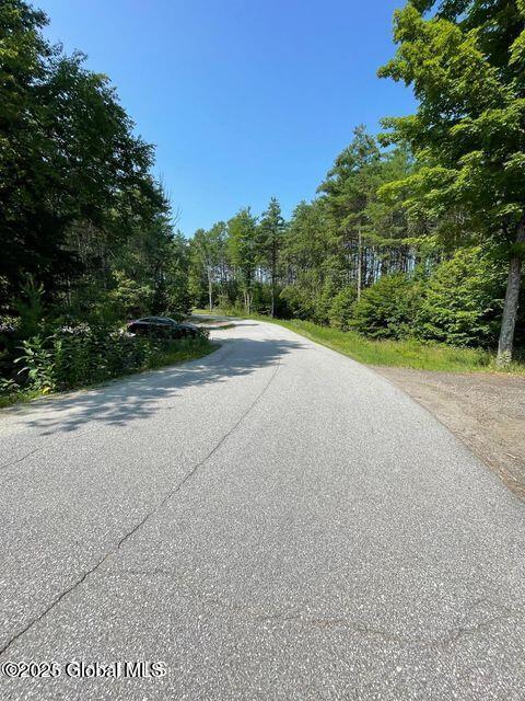 61 Snowshoe Rdg, Warrensburg, NY 12885 - photo 8